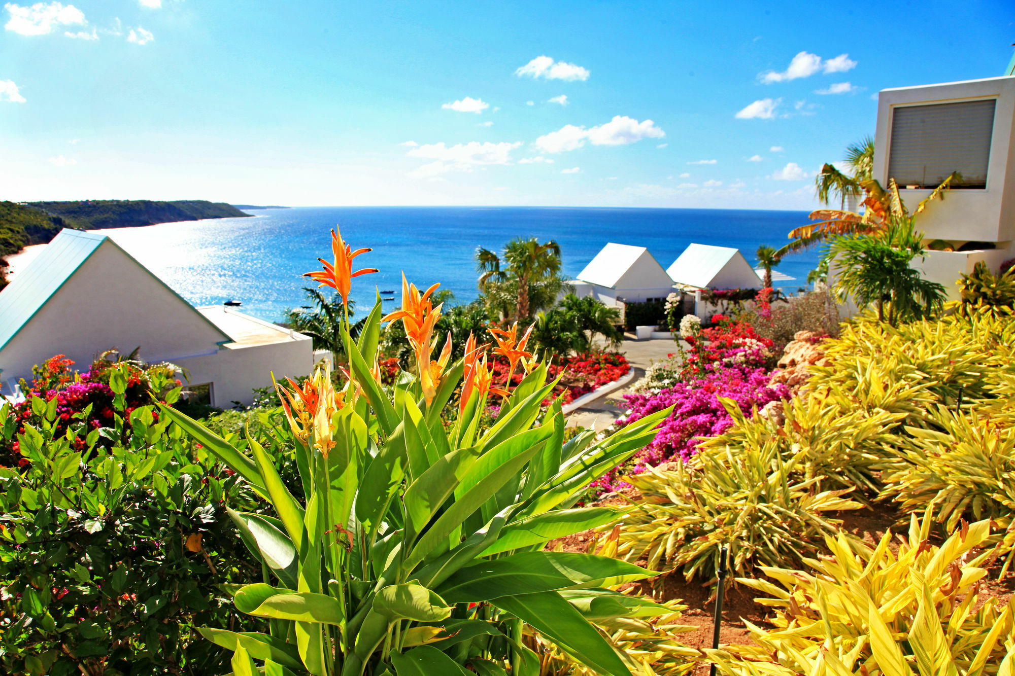 Ceblue Villas The Valley Bagian luar foto